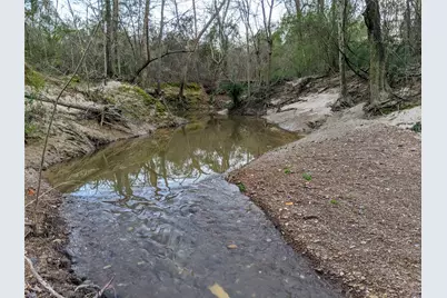 6155 Farm Road 3019, Winnsboro, TX 75494 - Photo 1