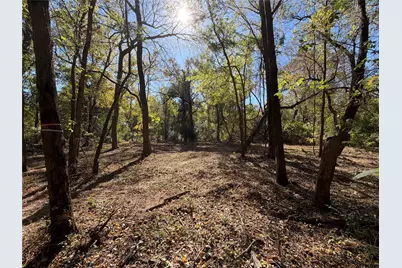 6155 Farm Road 3019, Winnsboro, TX 75494 - Photo 8