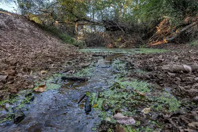 5081 154 Highway, Yantis, TX 75497 - Photo 6