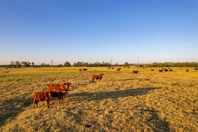 5081 154 Highway, Yantis, TX 75497 - Photo 24