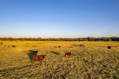 5081 154 Highway, Yantis, TX 75497 - Photo 22