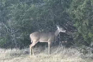 198 Fort Graham Rd, Whitney, TX 76692 - Photo 26