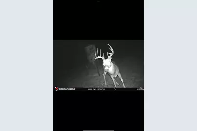 6231 Fm-919, Gordon, TX 76453 - Photo 30