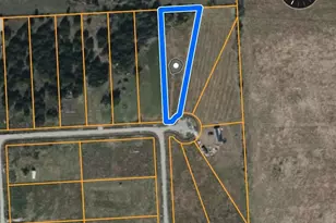 0 Flats Dr, Dawson, TX 76639 - Photo 1