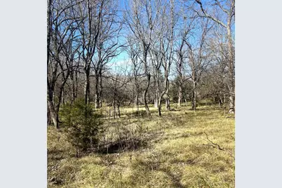 Tbd Tx-154, Sulphur Springs, TX 75482 - Photo 4