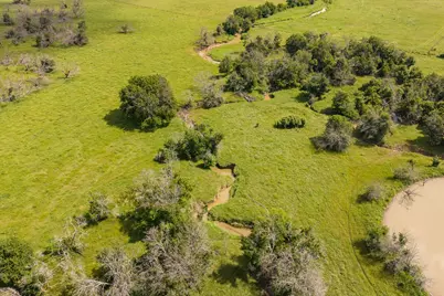 10517 County Road 418, Grandview, TX 76050 - Photo 2