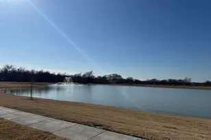 539 Forest Haven Dr, Van Alstyne, TX 75495 - Photo 30