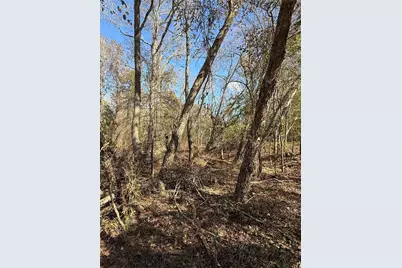 2162 County Road 174 E, Overton, TX 75684 - Photo 24