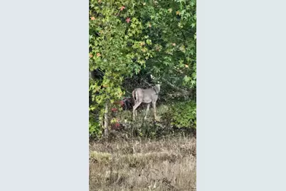 2162 County Road 174 E, Overton, TX 75684 - Photo 26