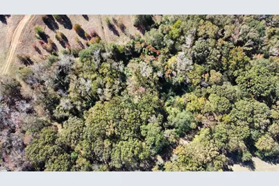 2162 County Road 174 E, Overton, TX 75684 - Photo 8