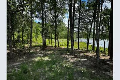 Tbd An County Road 314, Frankston, TX 75763 - Photo 18