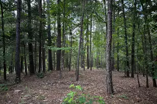 Tbd An County Road 314, Frankston, TX 75763 - Photo 26