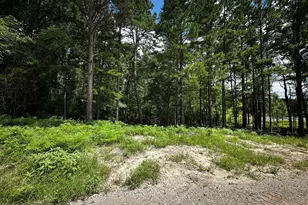 Tbd An County Road 314, Frankston, TX 75763 - Photo 28