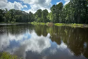 Tbd An County Road 314, Frankston, TX 75763 - Photo 14