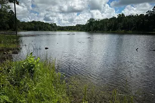 Tbd An County Road 314, Frankston, TX 75763 - Photo 16