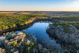 Tbd An County Road 314, Frankston, TX 75763 - Photo 2