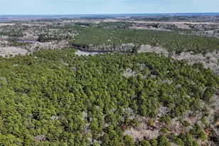 Tbd An County Road 314, Frankston, TX 75763 - Photo 10