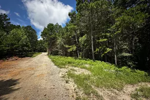 Tbd An County Road 314, Frankston, TX 75763 - Photo 22