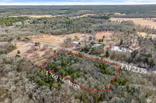 Lot 20 21 22 Fm 2339 (Callender Lake X), Murchison, TX 75778 - Photo 1