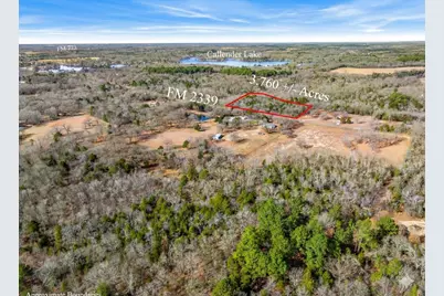 Lot 20,21,22 Fm 2339 (Callender Lake X), Murchison, TX 75778 - Photo 2
