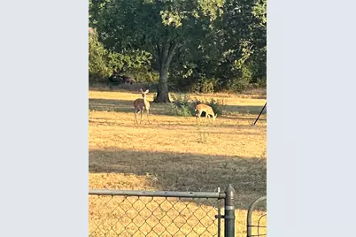 310 Centeridge Lane, Graham, TX 76450 - Photo 22