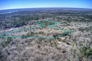Tbd County Road 3460, Hawkins, TX 75765 - Photo 1
