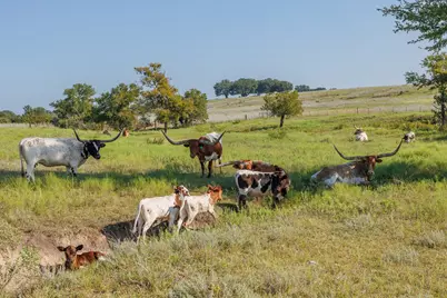 Tbd 19 Pr 23, Glen Rose, TX 76690 - Photo 14