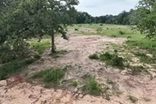 Tbd Cr 2030 Lot 8, Glen Rose, TX 76043 - Photo 6