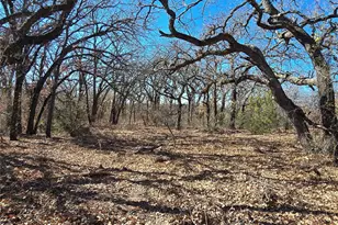 721 Co Rd 335, Ranger, TX 76470 - Photo 24