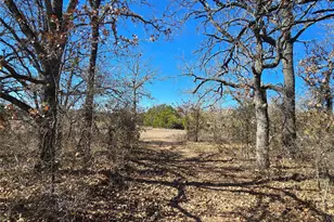 721 Co Rd 335, Ranger, TX 76470 - Photo 2