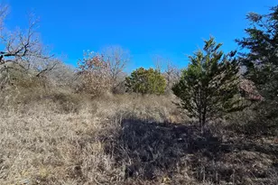 721 Co Rd 335, Ranger, TX 76470 - Photo 26