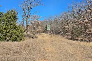 721 Co Rd 335, Ranger, TX 76470 - Photo 34