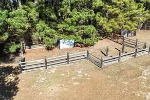 3570 Co Rd 3601, Bullard, TX 75757 - Photo 8