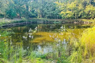 637 Co Rd 4420, Winnsboro, TX 75494 - Photo 36