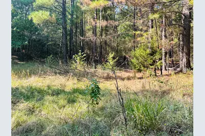 637 County Road 4420, Winnsboro, TX 75494 - Photo 34