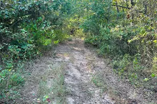 637 Co Rd 4420, Winnsboro, TX 75494 - Photo 32