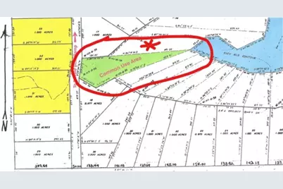 33 Private Road 5986, Yantis, TX 75497 - Photo 12