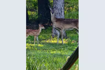 120 County Road 1230, Fairfield, TX 75840 - Photo 24