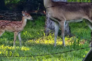 120 Co Rd 1230, Fairfield, TX 75840 - Photo 24