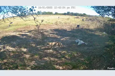 1992 County Road 2100, Cooper, TX 75432 - Photo 12