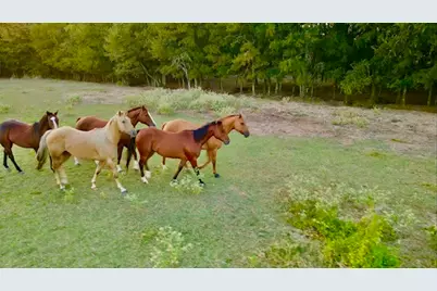 1992 County Road 2100, Cooper, TX 75432 - Photo 6