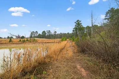 868 County Road 2920, Alba, TX 75410 - Photo 22