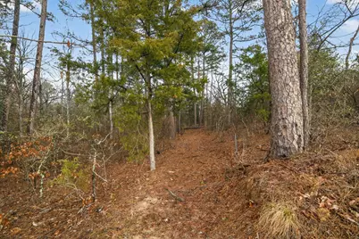 868 County Road 2920, Alba, TX 75410 - Photo 18