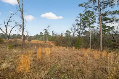 868 County Road 2920, Alba, TX 75410 - Photo 14