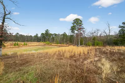 868 County Road 2920, Alba, TX 75410 - Photo 28