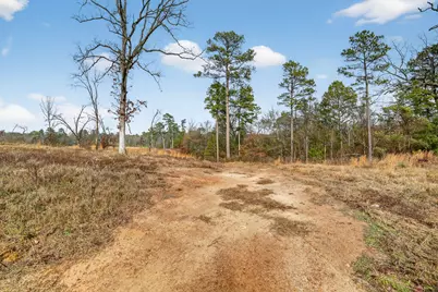 868 County Road 2920, Alba, TX 75410 - Photo 34