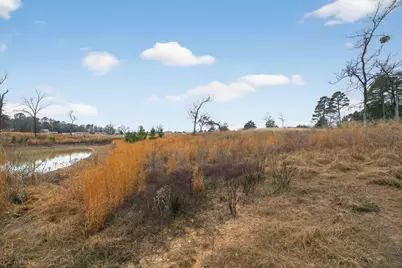 868 County Road 2920, Alba, TX 75410 - Photo 24