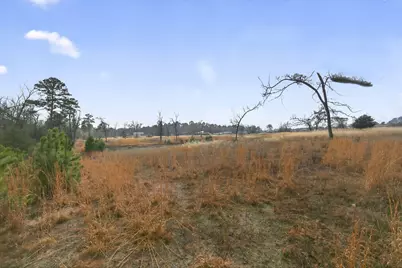 868 County Road 2920, Alba, TX 75410 - Photo 36