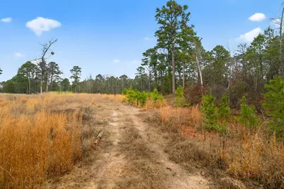 868 County Road 2920, Alba, TX 75410 - Photo 12
