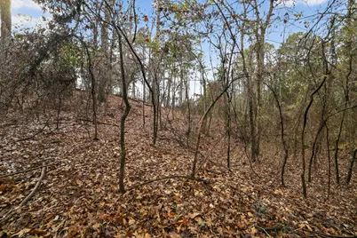 868 County Road 2920, Alba, TX 75410 - Photo 12